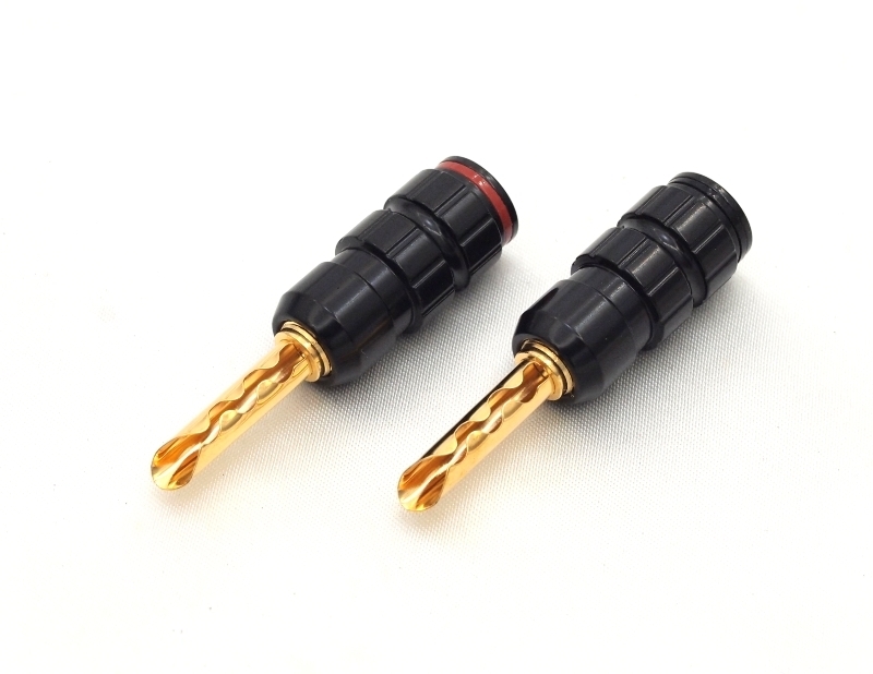 BP-208-01_std