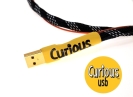 CURIOUS_05