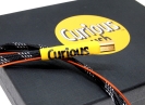 CURIOUS_03